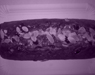 Osterbrot