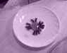 Schnappsch�sse